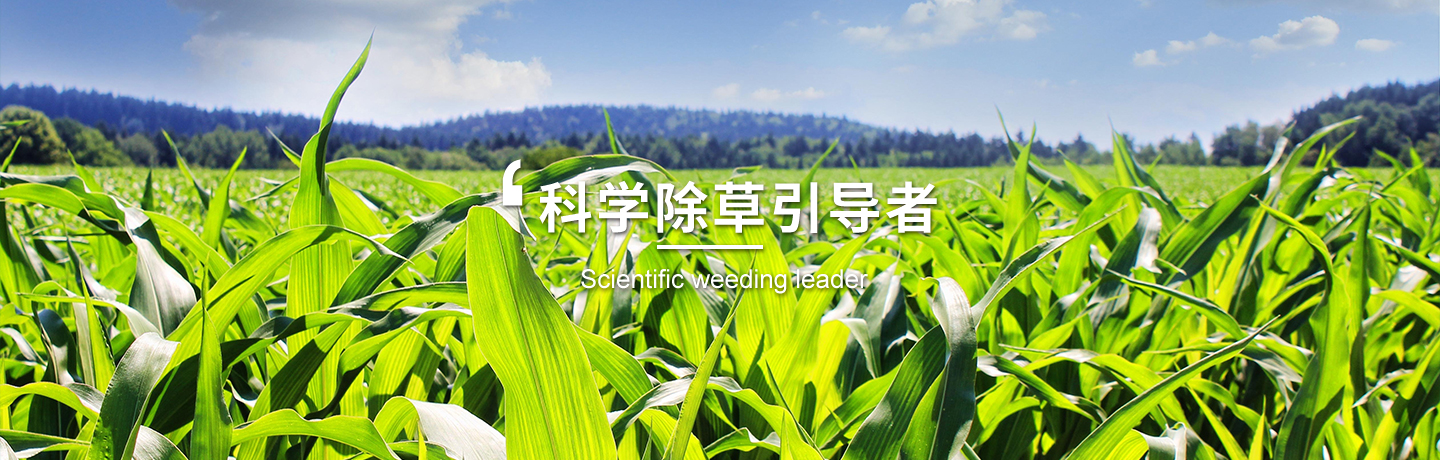 天津經(jīng)作類(lèi)除草劑訂購(gòu)、天津高粱田除草劑