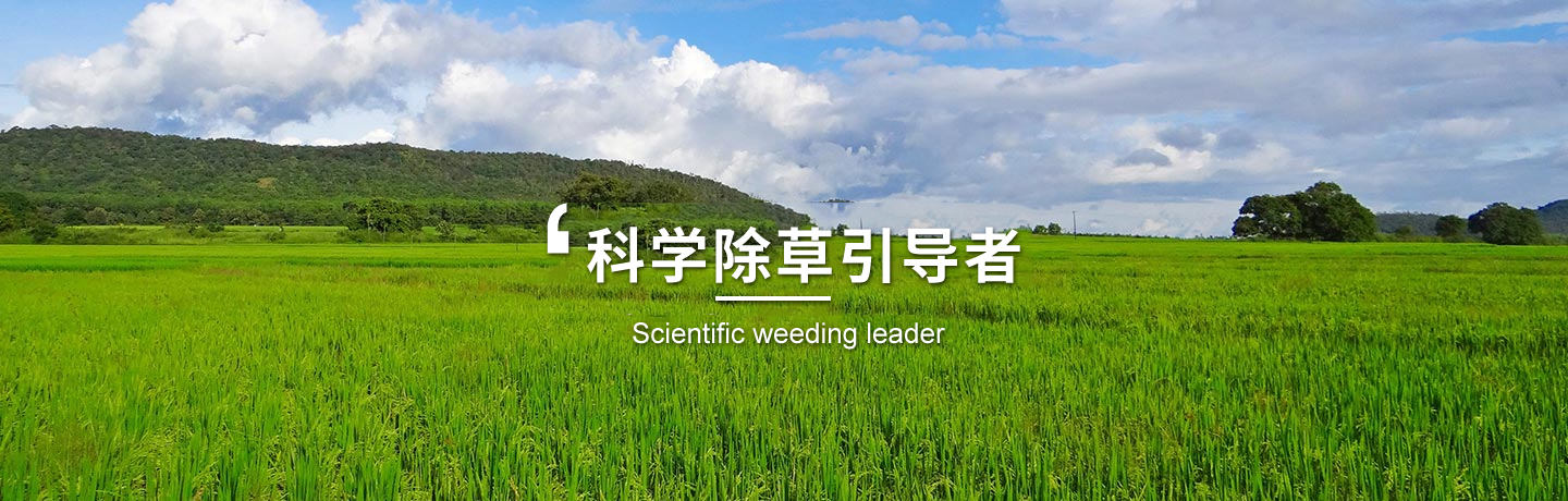 天津高粱田除草劑、河北玉米田除草劑